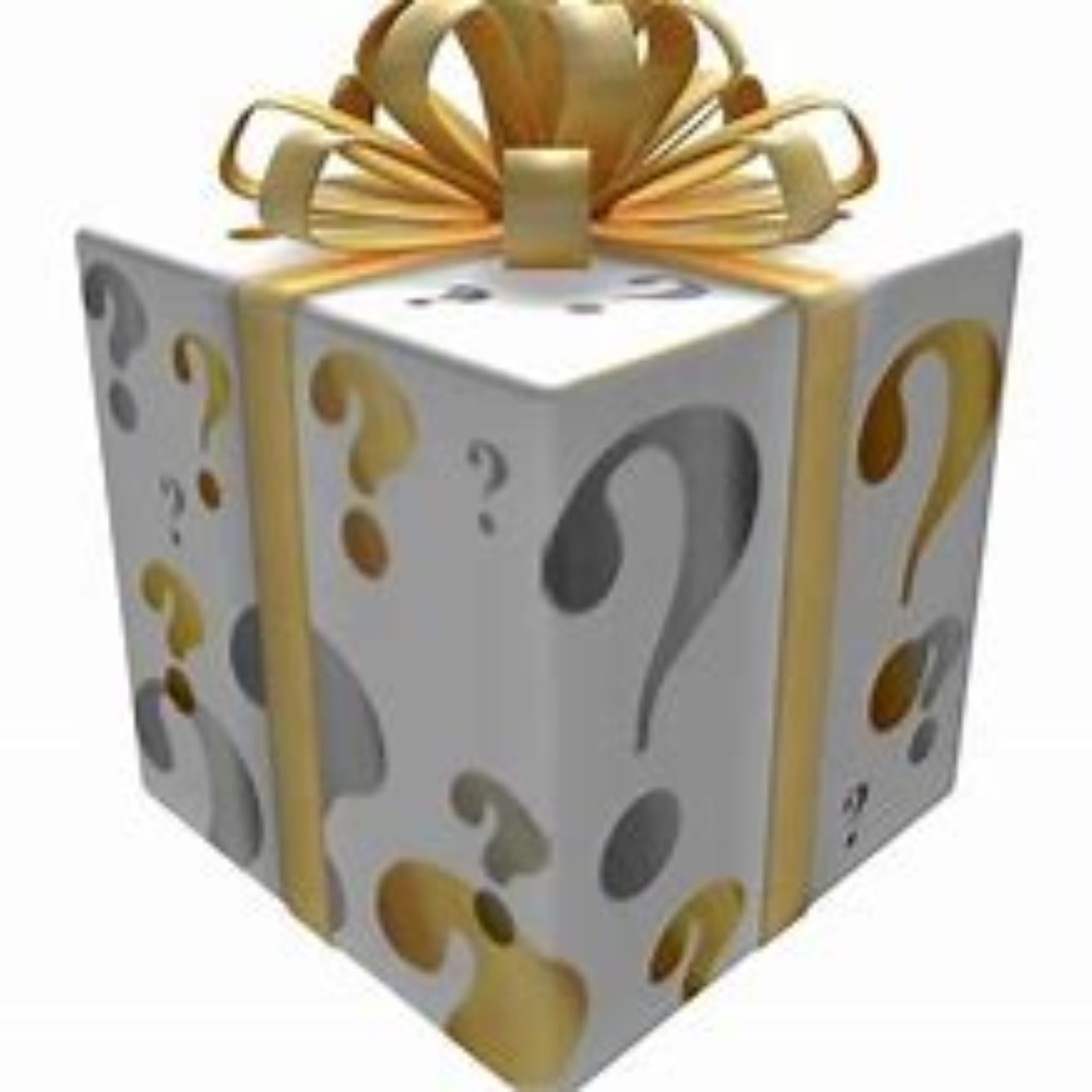 Mystery Box - Name Brand